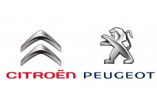 Peugeot / Citroen 9734R7
