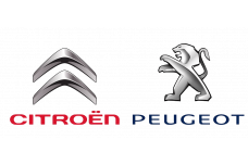 Peugeot / Citroen 91517001